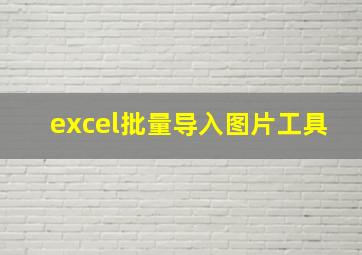 excel批量导入图片工具