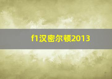 f1汉密尔顿2013