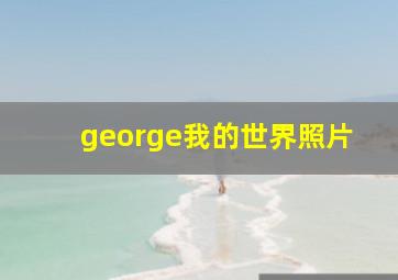 george我的世界照片