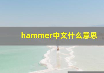 hammer中文什么意思