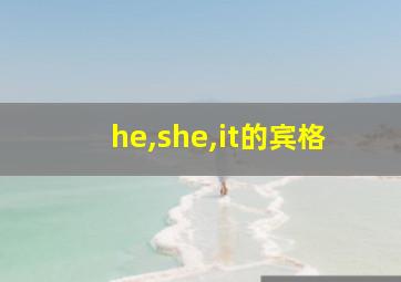 he,she,it的宾格