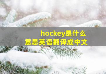 hockey是什么意思英语翻译成中文