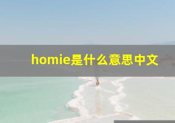 homie是什么意思中文