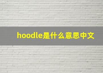 hoodle是什么意思中文