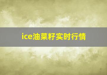 ice油菜籽实时行情