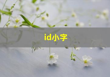 id小字