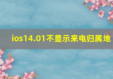 ios14.01不显示来电归属地