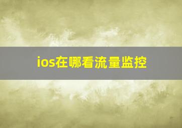 ios在哪看流量监控