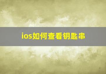 ios如何查看钥匙串