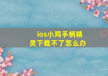 ios小鸡手柄精灵下载不了怎么办