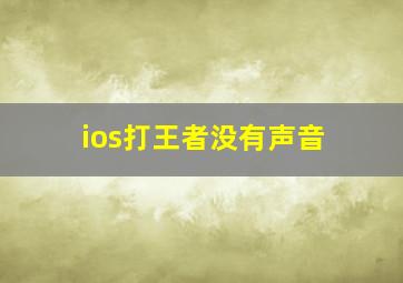 ios打王者没有声音