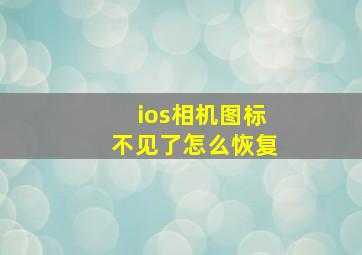 ios相机图标不见了怎么恢复