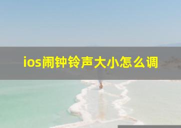 ios闹钟铃声大小怎么调