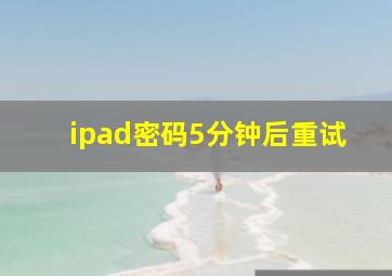 ipad密码5分钟后重试