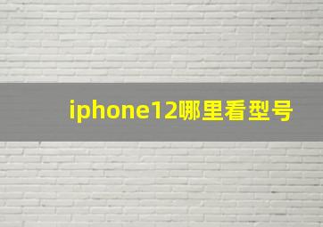 iphone12哪里看型号