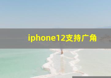 iphone12支持广角