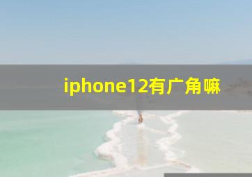 iphone12有广角嘛