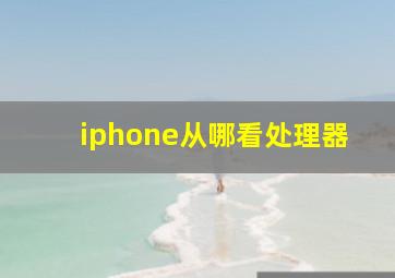 iphone从哪看处理器