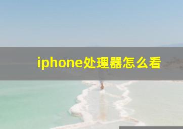 iphone处理器怎么看