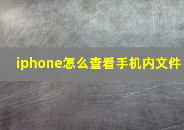 iphone怎么查看手机内文件