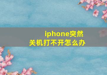 iphone突然关机打不开怎么办