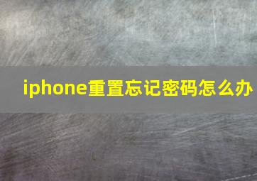 iphone重置忘记密码怎么办