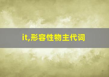 it,形容性物主代词