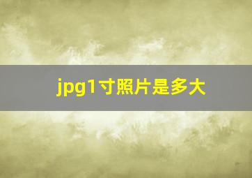 jpg1寸照片是多大