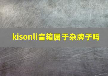 kisonli音箱属于杂牌子吗