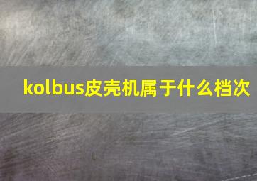 kolbus皮壳机属于什么档次