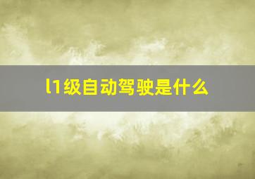 l1级自动驾驶是什么