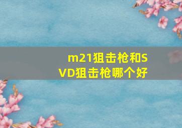 m21狙击枪和SVD狙击枪哪个好