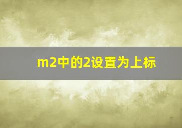 m2中的2设置为上标