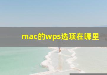 mac的wps选项在哪里