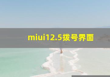 miui12.5拨号界面