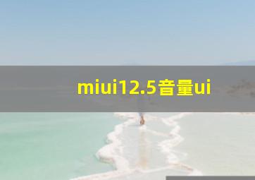 miui12.5音量ui