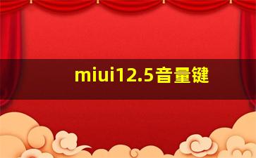 miui12.5音量键