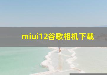 miui12谷歌相机下载