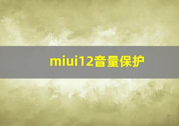 miui12音量保护