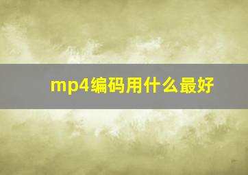 mp4编码用什么最好