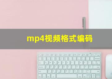 mp4视频格式编码