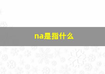 na是指什么