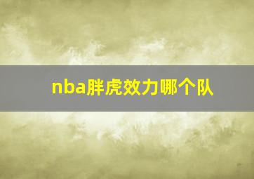 nba胖虎效力哪个队