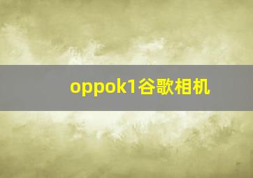 oppok1谷歌相机