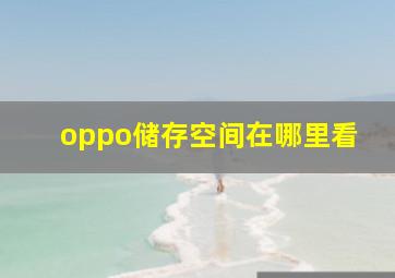 oppo储存空间在哪里看