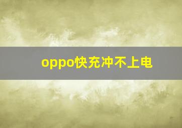 oppo快充冲不上电