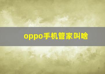 oppo手机管家叫啥