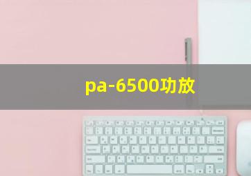 pa-6500功放