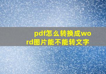 pdf怎么转换成word图片能不能转文字