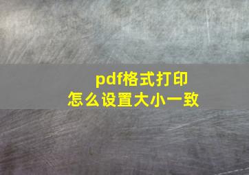 pdf格式打印怎么设置大小一致